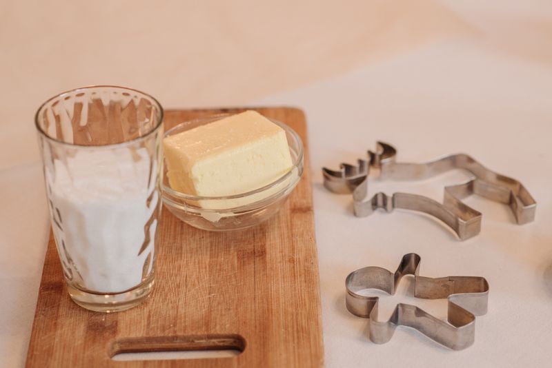Produse lactate profesionale