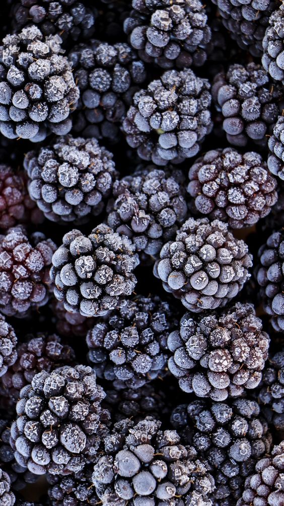 Mure congelate 4x2,5 kg UNIF