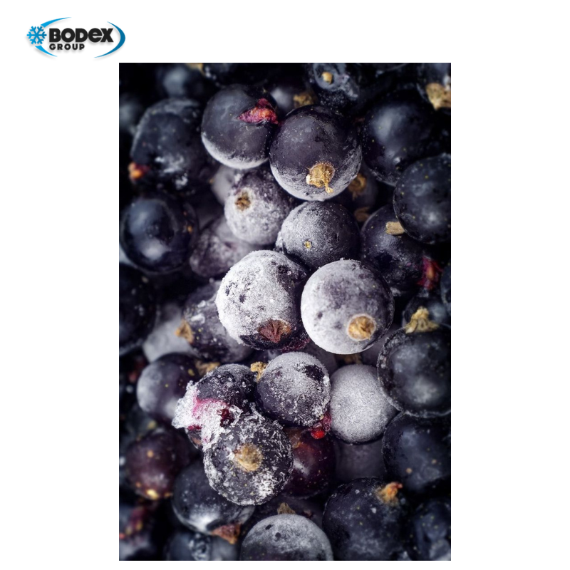 Coacaza neagra congelate 4x2,5 kg BDE